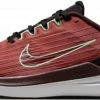 Running shoes Nike Air Winflo 9