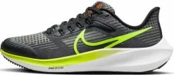 Running shoes Nike Air Zoom Pegasus 39