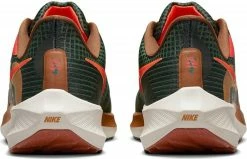 Running shoes Nike Air Zoom Pegasus 39 A.I.R. Hola Lou -Running shoes Nike Shop nike air zoom pegasus 39 a i r hola lou 481352 do9500 304 960