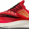 Running shoes Nike Air Zoom Pegasus 39 FlyEase