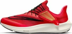 Running shoes Nike Air Zoom Pegasus 39 FlyEase