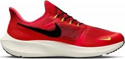 Running shoes Nike Air Zoom Pegasus 39 FlyEase -Running shoes Nike Shop nike air zoom pegasus 39 flyease 442762 dj7381 602 960