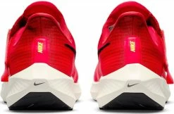 Running shoes Nike Air Zoom Pegasus 39 FlyEase -Running shoes Nike Shop nike air zoom pegasus 39 flyease 442762 dj7381 604 960