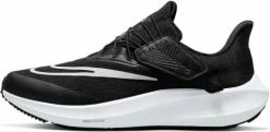 Running shoes Nike Air Zoom Pegasus 39 FlyEase