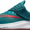 Running shoes Nike Air Zoom Pegasus 39 FlyEase