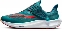 Running shoes Nike Air Zoom Pegasus 39 FlyEase