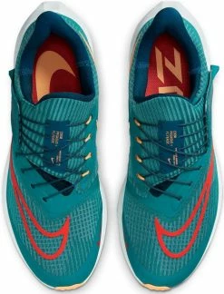 Running shoes Nike Air Zoom Pegasus 39 FlyEase -Running shoes Nike Shop nike air zoom pegasus 39 flyease 506702 dj7381 303 960