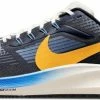 Running shoes Nike Air Zoom Pegasus 39 Premium