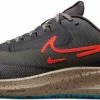 Running shoes Nike Air Zoom Pegasus 39 Shield