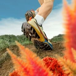 Trail shoes Nike AIR ZOOM TERRA KIGER 7 -Running shoes Nike Shop nike air zoom terra kiger 7 333959 cw6062 300 960