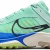 Trail shoes Nike Air Zoom Terra Kiger 8