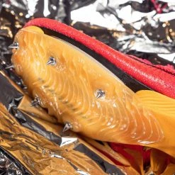 Shoes/Spikes Nike Air Zoom Victory Track & Field Distance Spikes -Running shoes Nike Shop nike air zoom victory track field distance spikes 546630 cd4385 600 960