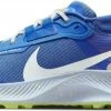 Shoes Nike Pegasus Trail 3 Gore-Tex