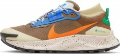 Shoes Nike Pegasus Trail 3 GTX