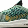 Running shoes Nike Pegasus Turbo Next Nature