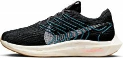 Running shoes Nike Pegasus Turbo Next Nature