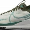 Shoes Nike React Pegasus Trail 4 GORE-TEX