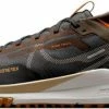 Shoes Nike React Pegasus Trail 4 GORE-TEX