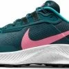 Shoes Nike W PEGASUS TRAIL 3