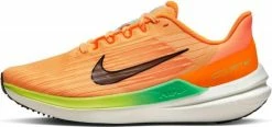Running shoes Nike WMNS AIR WINFLO 9